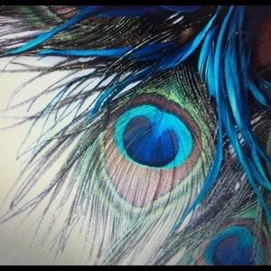 Meet your Posher, Donna